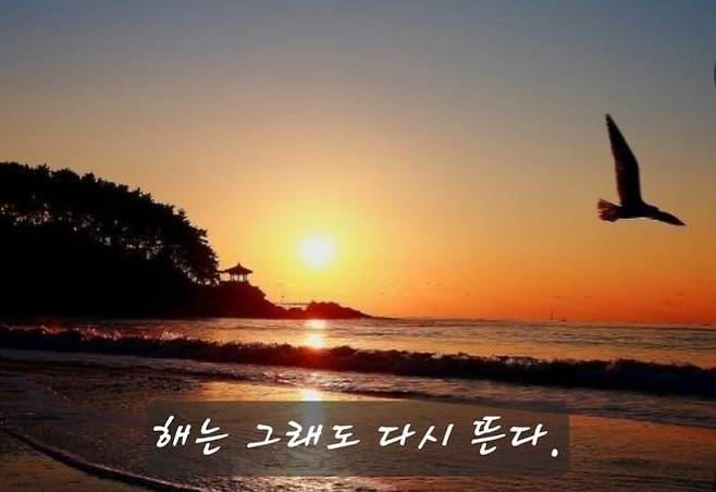 [이수정 교수 SNS 갈무리]