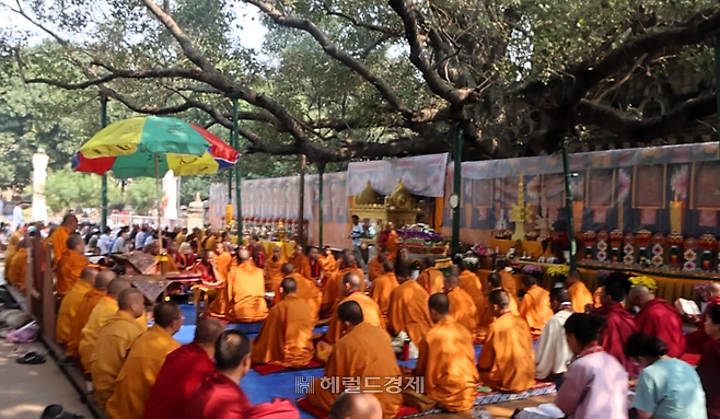 보리수 나무 아래 진행 중인 법회 모습
