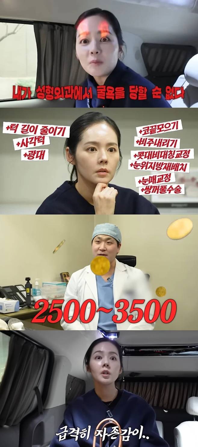 한가인이 성형 상담을 받은 심정을 밝혔다. 유튜브 채널 '자유부인 한가인' 캡처.