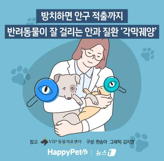 ⓒ News1 김지영 디자이너