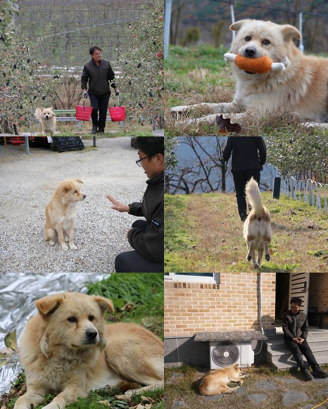 ‘TV 동물농장’ (제공: SBS)&nbsp;