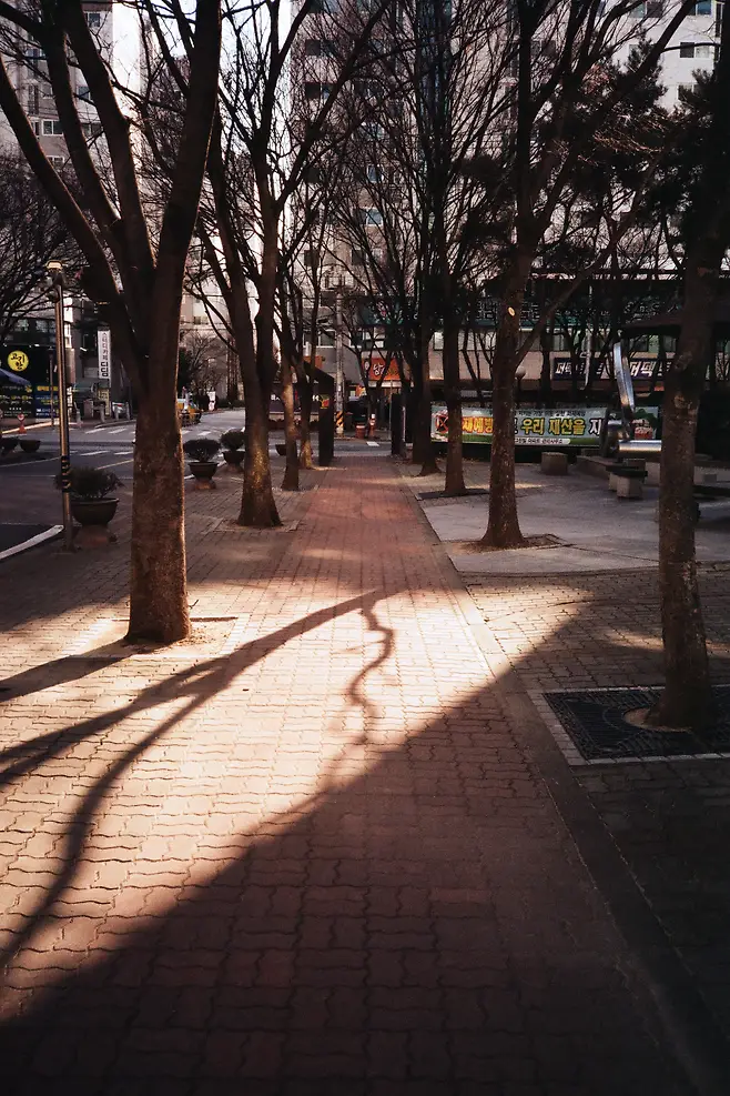 7cea9e31e0d0288650bbd58b3685716b70be592a