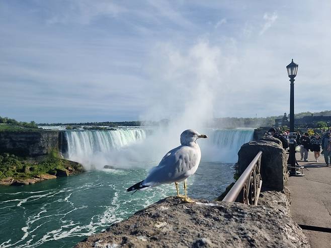 20220930_162151.jpg 날 좋은날의 이과수
