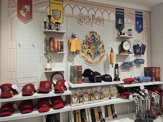 지난 15일 서울 종로구 동숭동에 위치한 미니소 매장의 모습. 일상생활 용품의 판매 뿐만 아니라 해리포터와 디즈니 등 글로벌 콘텐트의 지식재산권(IP)을 활용한 굿즈를 전면 배치해 소비자들의 눈길을 사로 잡고 있었다. 이가람 기자