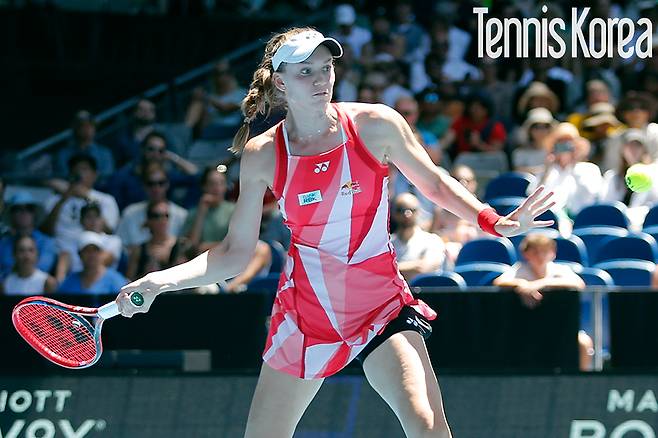 진격의 거인 리바키나