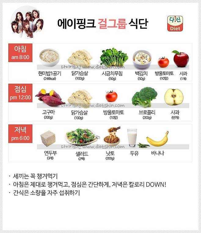 과거 걸그룹 다이어트 식단