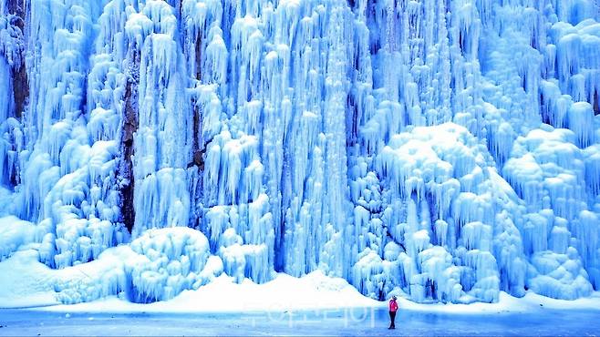 김승진 청송의 겨울