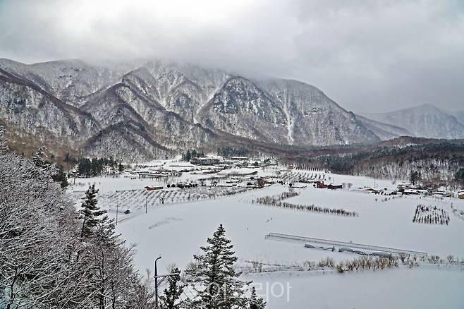 울릉군 나리분지&nbsp;