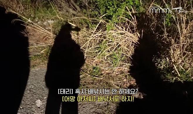 pic_046.jpg 유난히 내성적인 김태리 근황.JPG 유난히 내성적인 김태리의 목포 여행.jpg 유난히 내성적인 김태리의 목포 여행.jpg