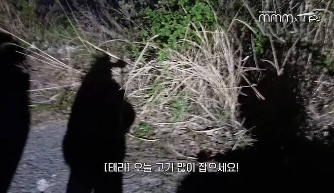 pic_071.jpg 유난히 내성적인 김태리 근황.JPG 유난히 내성적인 김태리의 목포 여행.jpg 유난히 내성적인 김태리의 목포 여행.jpg