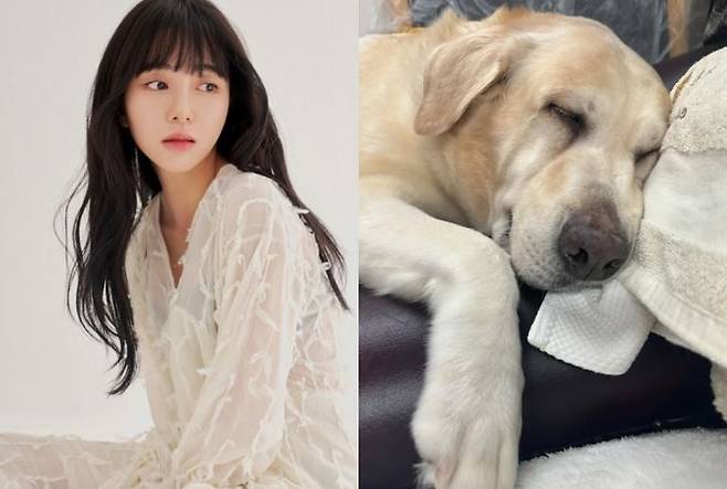 [서울=뉴시스] 권민아, 반려견 모찌. (사진=권민아 인스타그램 캡처) 2025.01.20. photo@newsis.com  *재판매 및 DB 금지