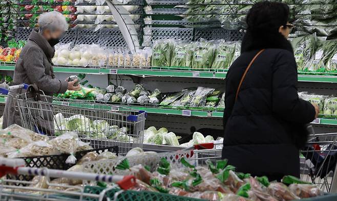 지난 16일 서울 한 대형마트에서 시민들이 채소류를 살펴보고 있다. . 뉴스1