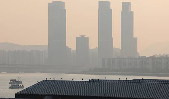 초미세먼지 농도가 '나쁨' 수준을 보인 지난 20일 오후 부산 수영구 밀락더마켓 지붕에 햇볕을 쬐며 앉아있는 새들 뒤로 남천동과 용호동 일대가 뿌옇게 보인다. [사진=연합뉴스]
