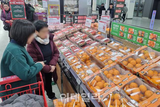 지난 19일 오후 롯데마트 서울역점. 과일 코너에서 한 모녀가 1.4㎏에 1만 4990원인 국내산 감귤을 가격을 보고 구매를 망설이고 있다. (사진=한전진 기자)