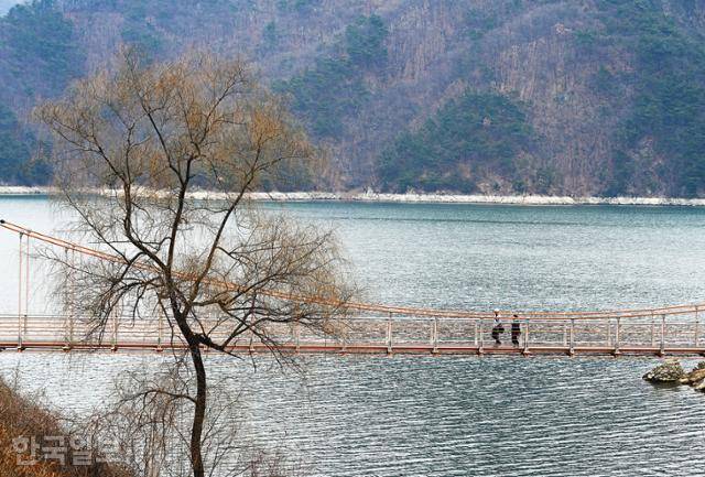 충주호 수변 종댕이길 출렁다리.