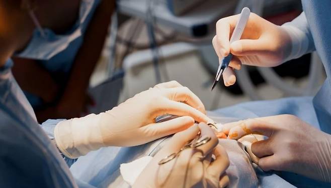 사진의 기사의 특정 내용과 직접적인 관련이 없음. [연합]