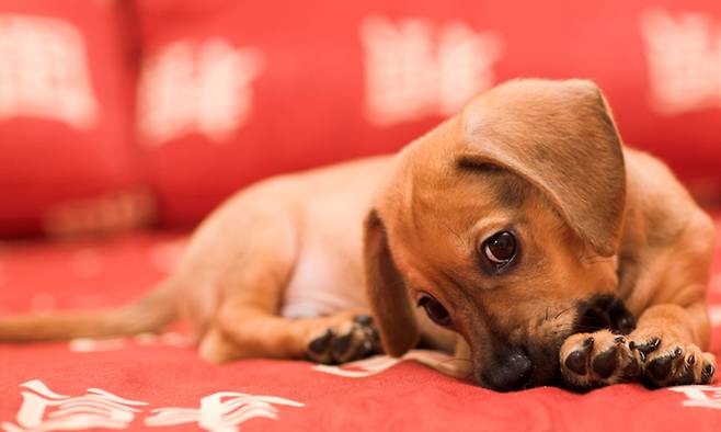 사진=게티이미지뱅크