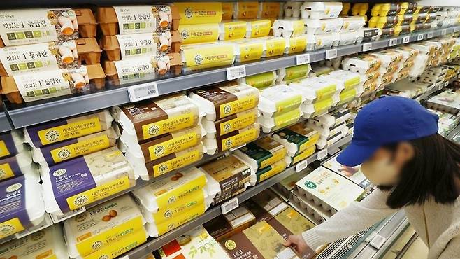 연합뉴스 / 기사와 무관한 사진