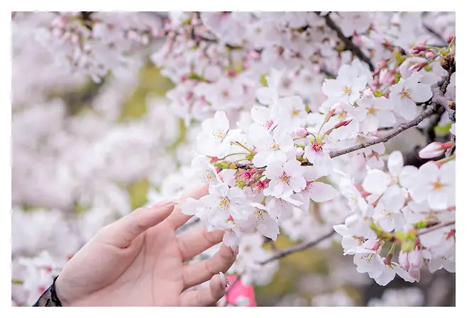 79e58271bd8519f323e782e5309c706b15a9534660718287da680de3015d5e8b364d9f49a6c2d59e162f9c192f7d7c1c8f43470316