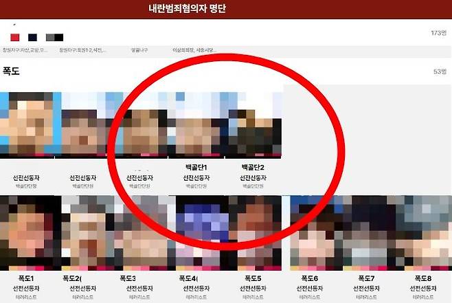 서울서부지법에서 소요사태를 일으킨 일당의 신상을 공개한 사이트가 등장했다. /사진=해당 사이트 캡처