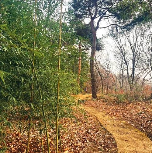 용산가족공원 가는 길