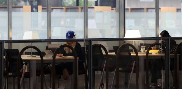 도서관에서 취업 준비 중인 대학생들. [사진 | 뉴시스]