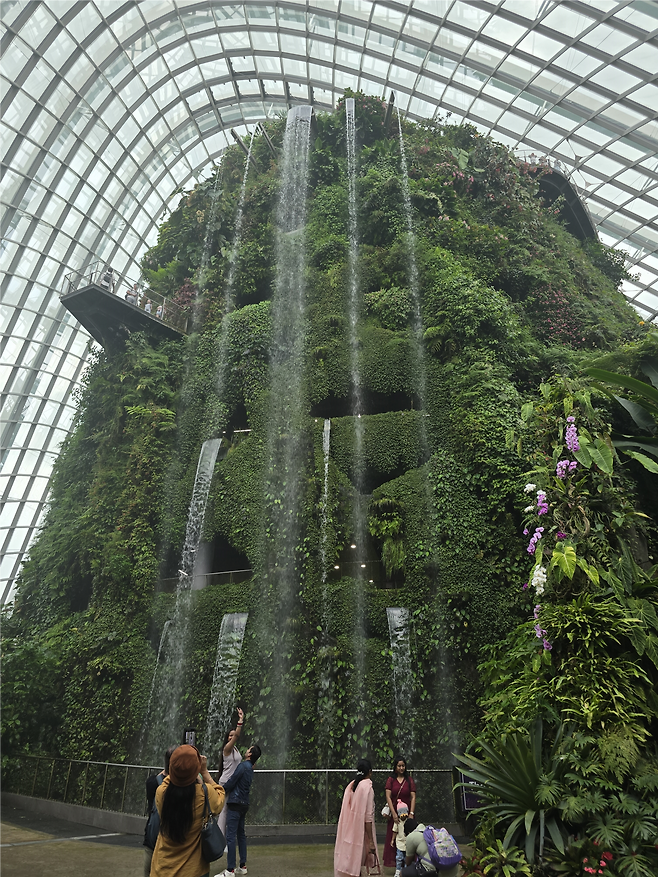 image.png 몰디브(싱가포르 경유) 신혼 여행 후기 및 정보