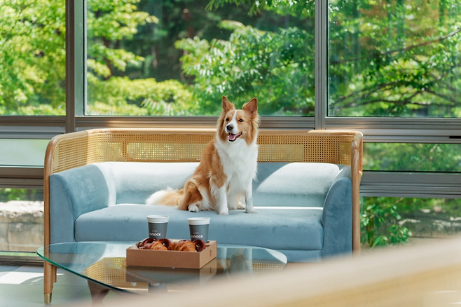 키녹 로비 근처 슬로우라운지 / 사진=교원그룹