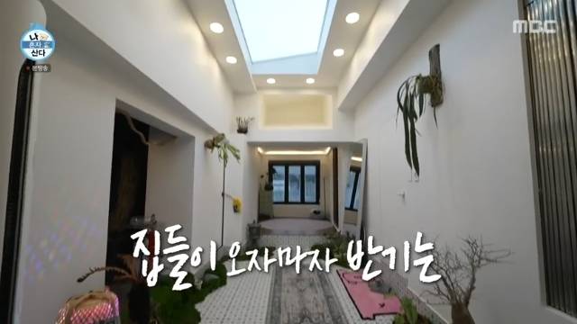 MBC ‘나 혼자 산다’ 캡처