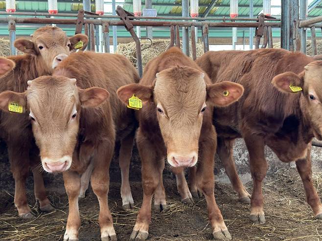 (사진=스탁키퍼)