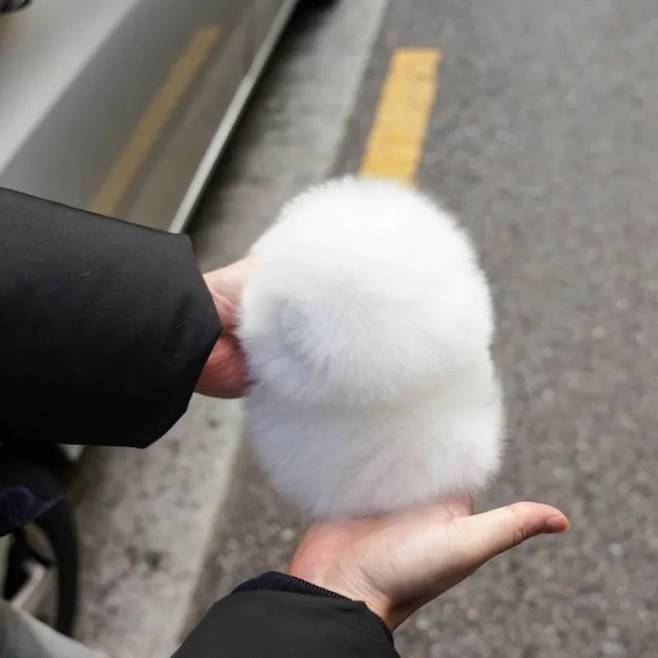 단팥 살짝 삐져나온 호빵.jpg