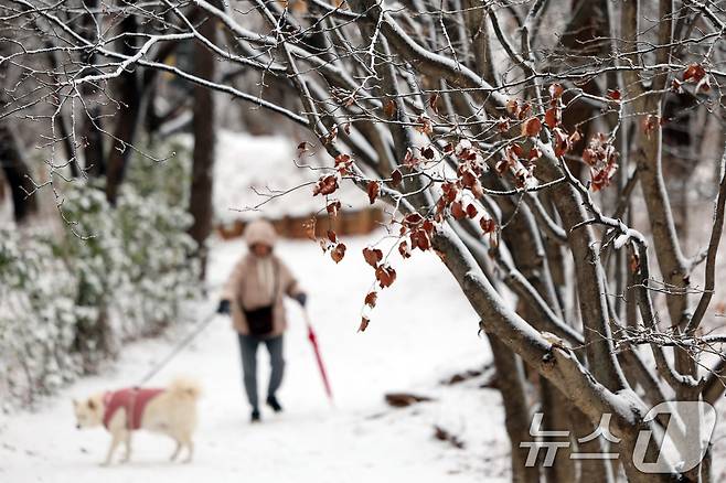 설 명절 연휴 사흘째이자 대설특보가 발효된 27일 오전 서울 백련근린공원에서 시민이 둘레길을 걷고 있다.  2025.1.27/뉴스1 ⓒ News1 황기선 기자