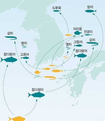 지구온난화로 인한 해수 온도 상승으로 한반도 해역의 어종이 변화하고 있다. 국립수산과학원