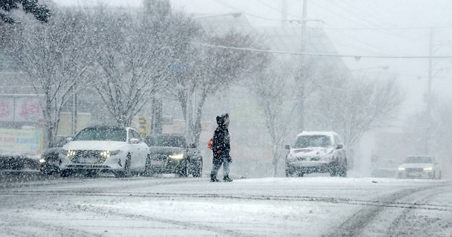 전북 전역에 대설특보가 발효된 28일 전북 전주시 덕진구 호성동 동부대로에서 한 시민이 눈 쌓인 길을 지나고 있다. [전주=뉴시스]