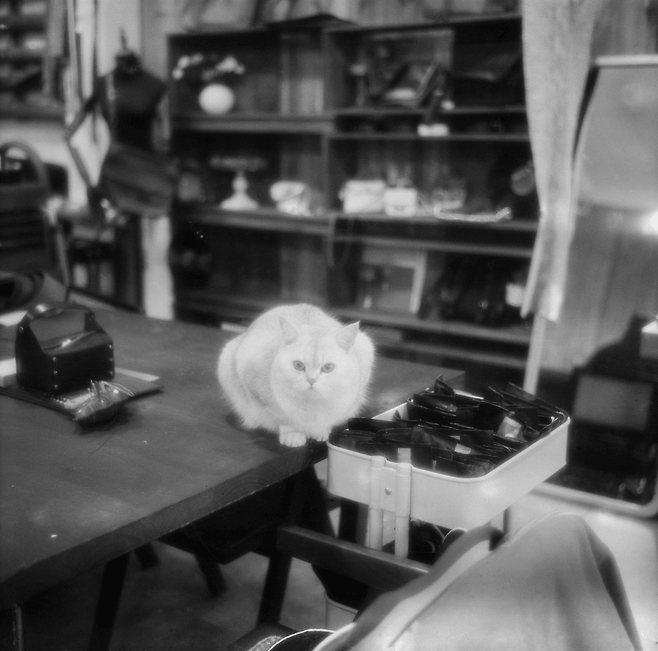 24b0d121e09c28a8699fe8b115ef046c64f3204898ef33