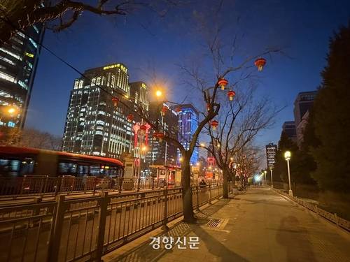 베이징 진궈먼 일대 가로수. 2024년 12월 17일 촬영.
