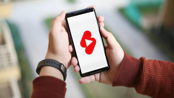 유튜브 자료 사진. 〈사진=픽사베이〉