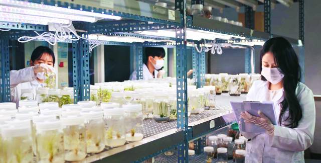 국립순천대 그린스마트팜스쿨 수업이 진행 중인 모습. 이 대학은 생명산업과학대학 등 5개 단과대학을 그린스마트팜 등 3대 특화 분야 스쿨 체제로 개편했다. 미래유망 분야를 적극 육성하는 방식으로 내국인 학생뿐 아니라 외국인 유학생 유치에 나서고 있다. 국립순천대 제공