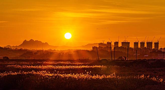 둥근 태양이 북한산 너머로 떠오르고 있습니다. 늘 바라는 마음이지만 어둠을 걷어내고 힘차게 치솟는 태양처럼 밝은 일들이 많이 생겼으면 좋겠습니다.  이충우 기자