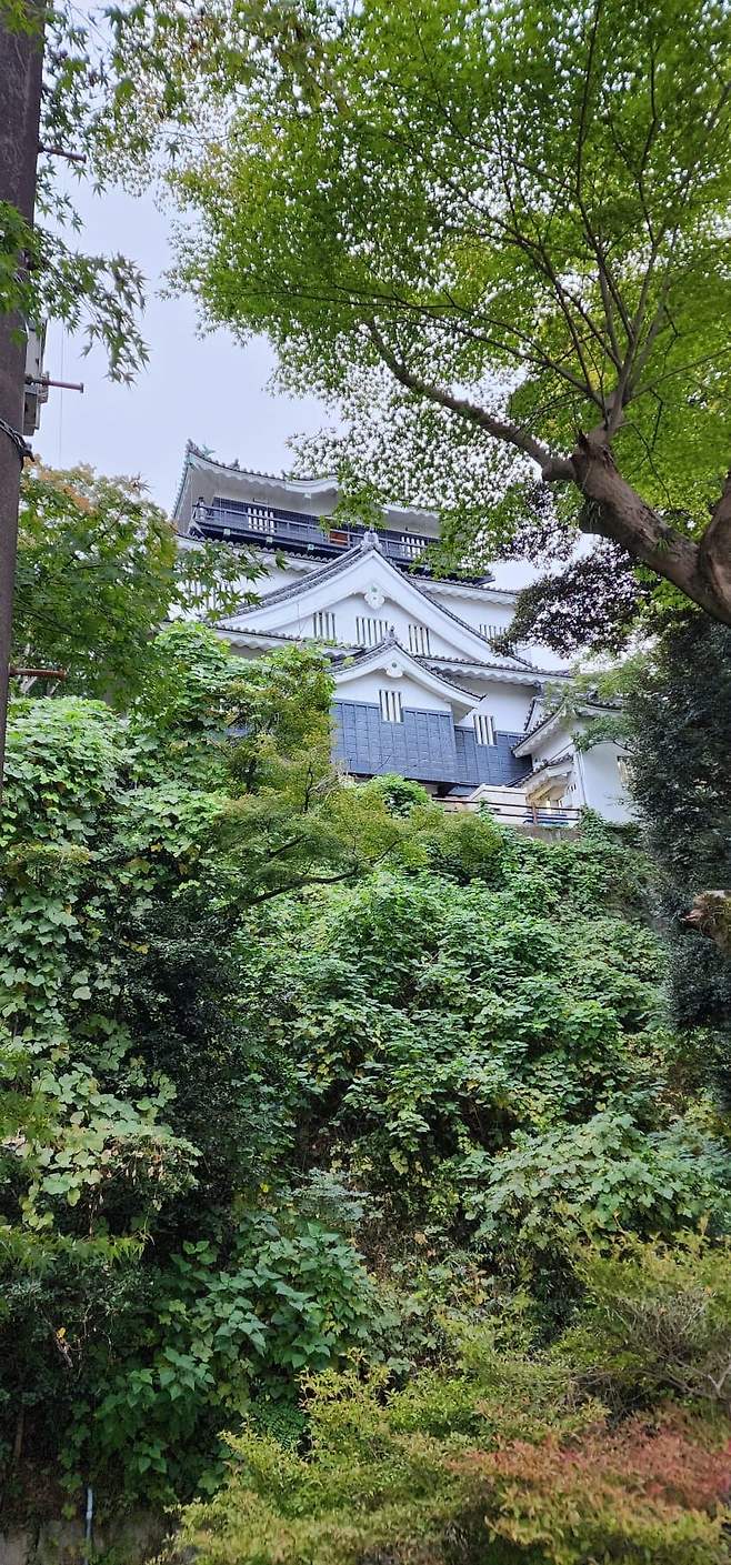 3fb8c32fffd711ab6fb8d38a4e83746fc1db9e81047bccd0ffca52c2f8a776e5f5f54b3cd635065d6eb53ae27b