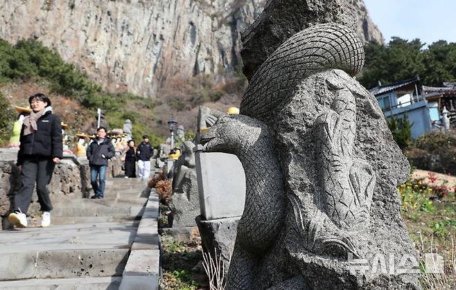 [서귀포=뉴시스] 입춘 절기를 하루 앞둔 2일 오전 제주 서귀포시 안덕면 산방산 보문사에 12간지(干支) 가운데 을사년(乙巳年)을 상징하는 뱀 조형물이 서 있다. 2025.02.02. photo@newsis.com