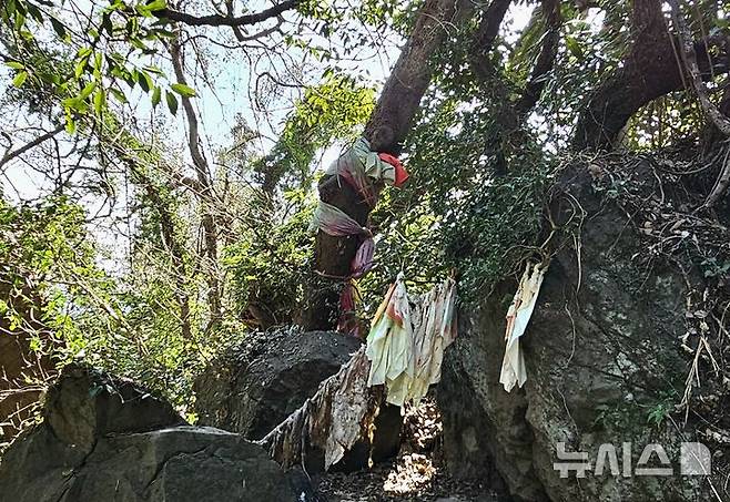 [제주=뉴시스] 임재영 기자 = 제주 서귀포시 한 마을의 여드렛당. (사진=뉴시스DB) ijy788@newsis.com