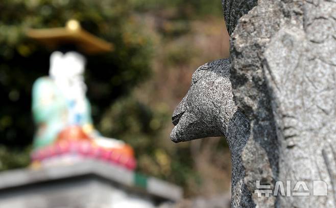 [서귀포=뉴시스] 입춘 절기를 하루 앞둔 2일 오전 제주 서귀포시 안덕면 산방산 보문사에 12간지(干支) 가운데 을사년(乙巳年)을 상징하는 뱀 조형물이 서 있다. 2025.02.02. photo@newsis.com