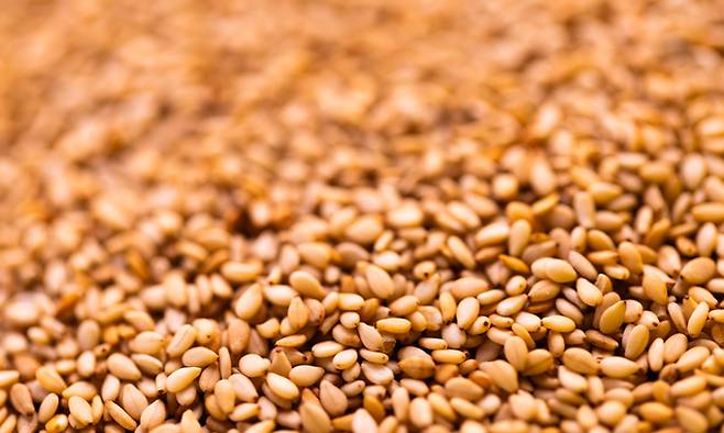 사진=게티이미지뱅크