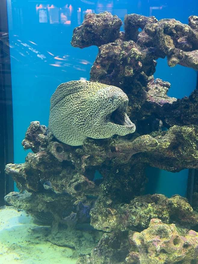 759b8903c6826d8023e686e6329c706be153a8d17bb0d08fccbabaaf42a42e0813dfde942908ffa632cf6ea695b9d86f4b072f8d5d