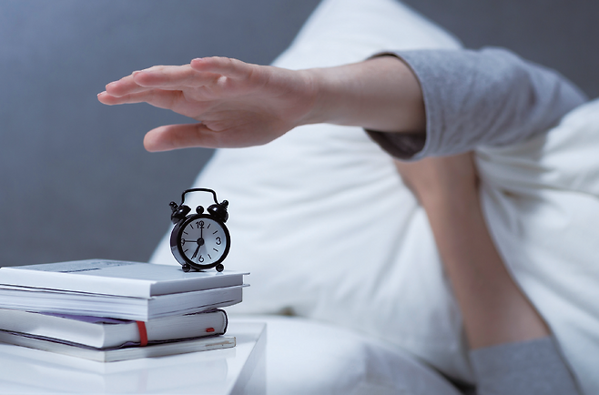 / 사진 셔터스톡