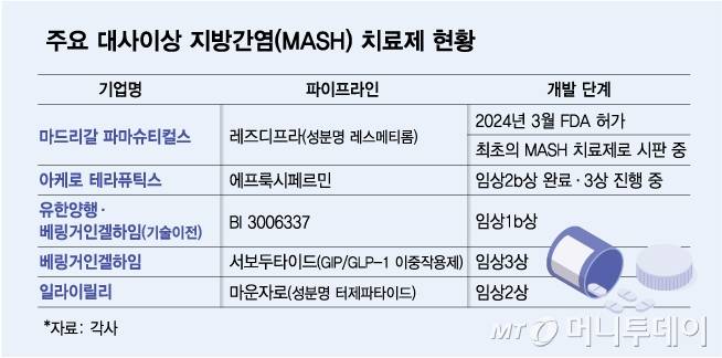 주요 대사이상 지방간염(MASH) 치료제 현황. /그래픽=김다나 디자인기자