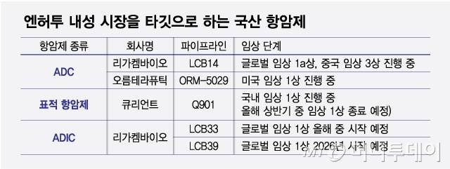 엔허투 내성 시장을 타깃으로 하는 국산 항암제/그래픽=최헌정