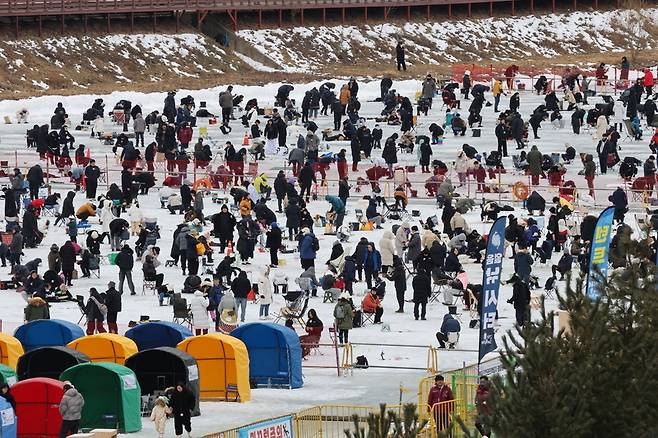 평창송어축제장에 몰린 인파