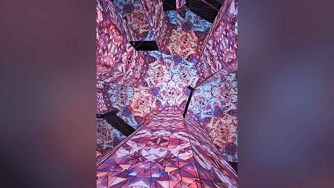 사진출처 : 전주시